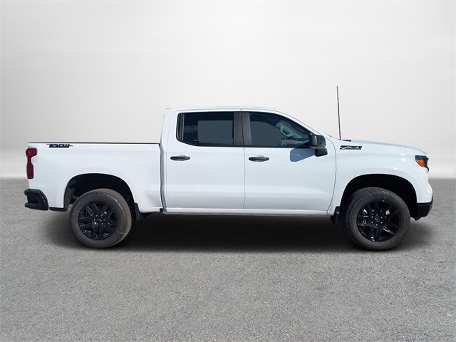 New 2026 Chevrolet Silverado 1500 Custom Trail Boss w/ Dark Appearance Package image 3