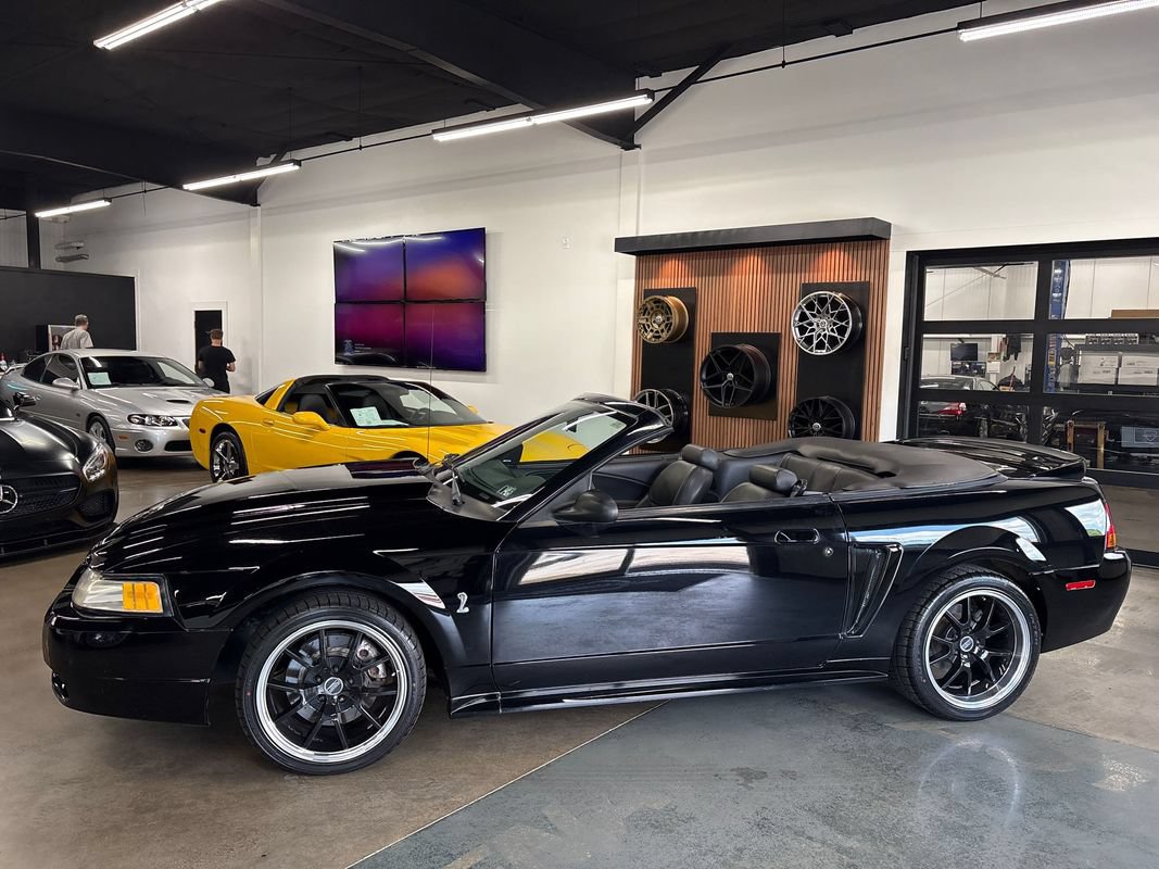 Used 1999 Ford Mustang Cobra RWD image 4