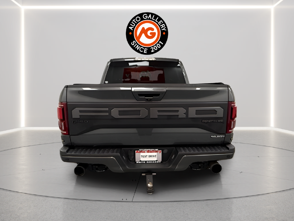 Used 2019 Ford F150 Raptor w/ Equipment Group 802A Luxury AWD/4WD image 5