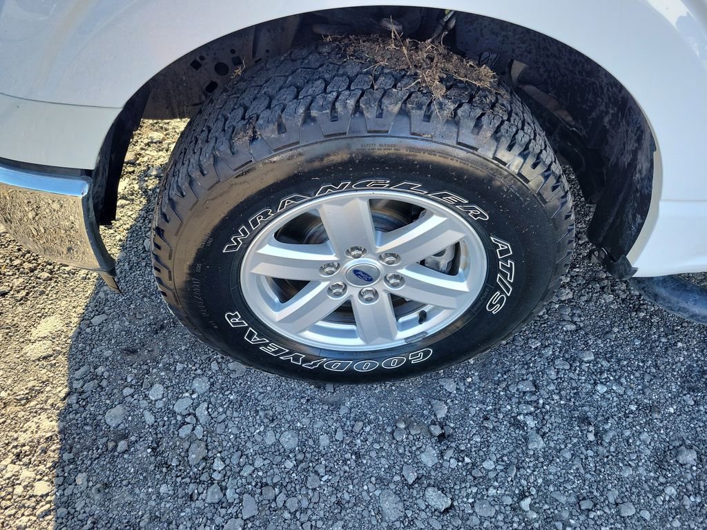 Used 2021 Ford F150 XL w/ Equipment Group 101A High image 6