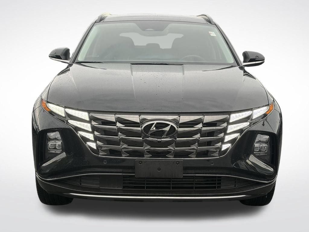 Used 2023 Hyundai Tucson Limited AWD/4WD image 3