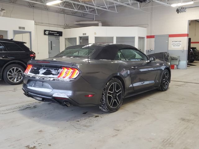 Used 2019 Ford Mustang Premium image 4