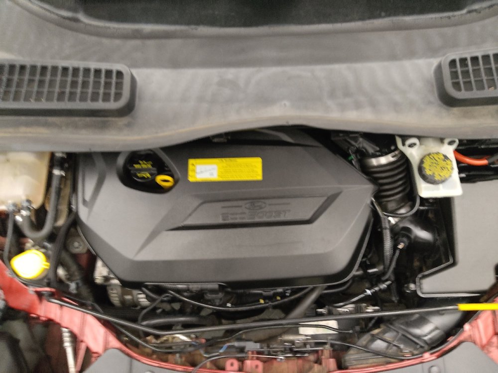 Used 2014 Ford Escape SE w/ Equipment Group 201A image 30