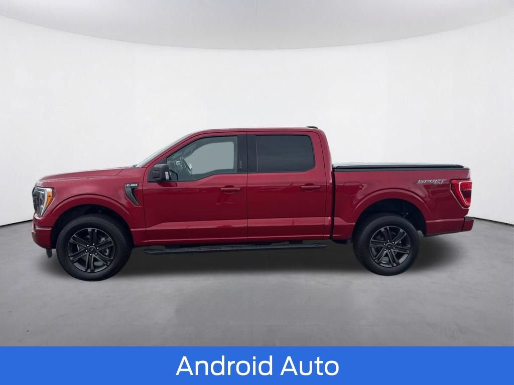 Used 2022 Ford F150 XLT w/ Equipment Group 302A High AWD/4WD image 5