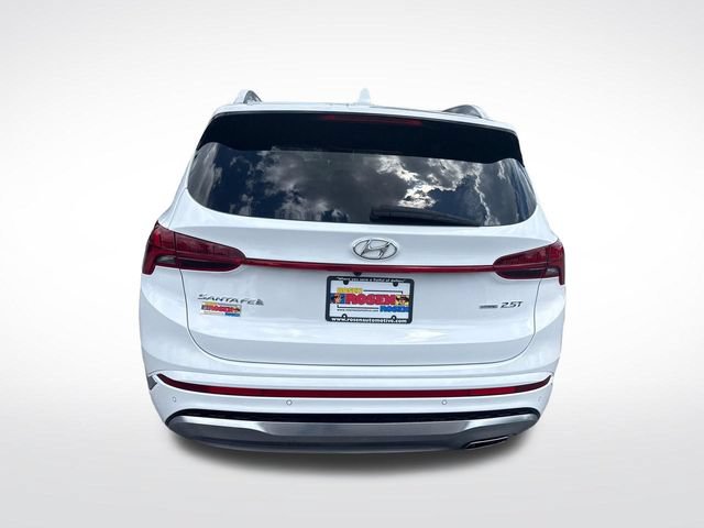 Used 2023 Hyundai Santa Fe Calligraphy AWD/4WD image 4