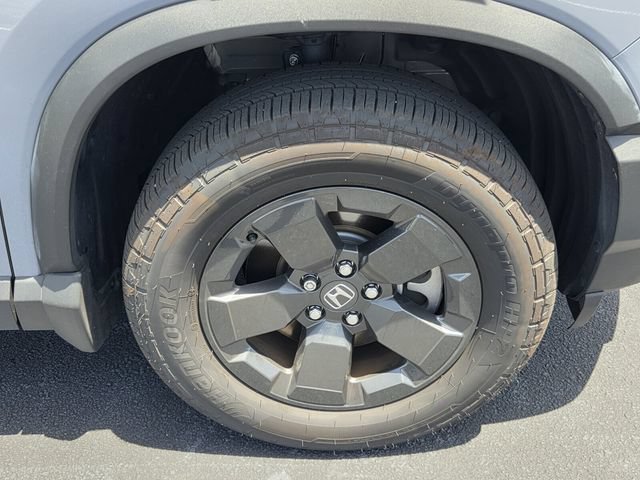 Used 2026 Honda Passport RTL image 8
