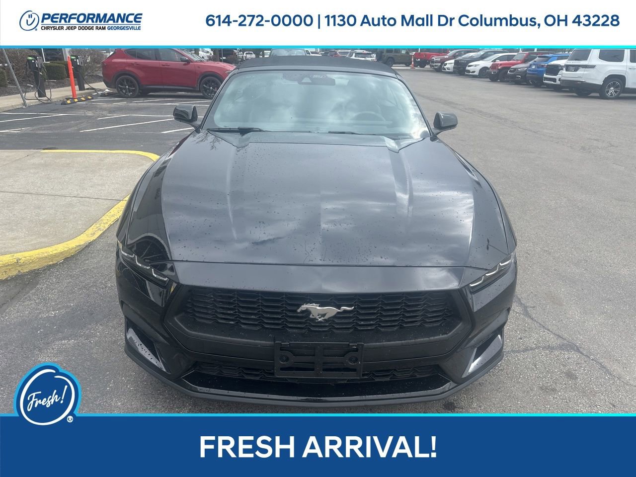 Used 2024 Ford Mustang Premium image 9