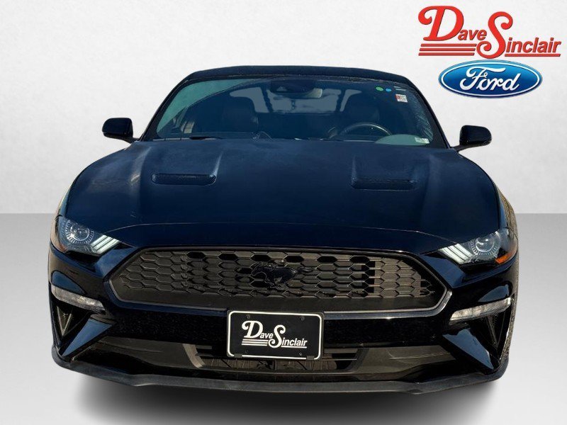 Used 2023 Ford Mustang Premium w/ Equipment Group 201A image 2