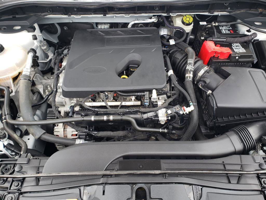 Used 2020 Ford Escape SE image 14