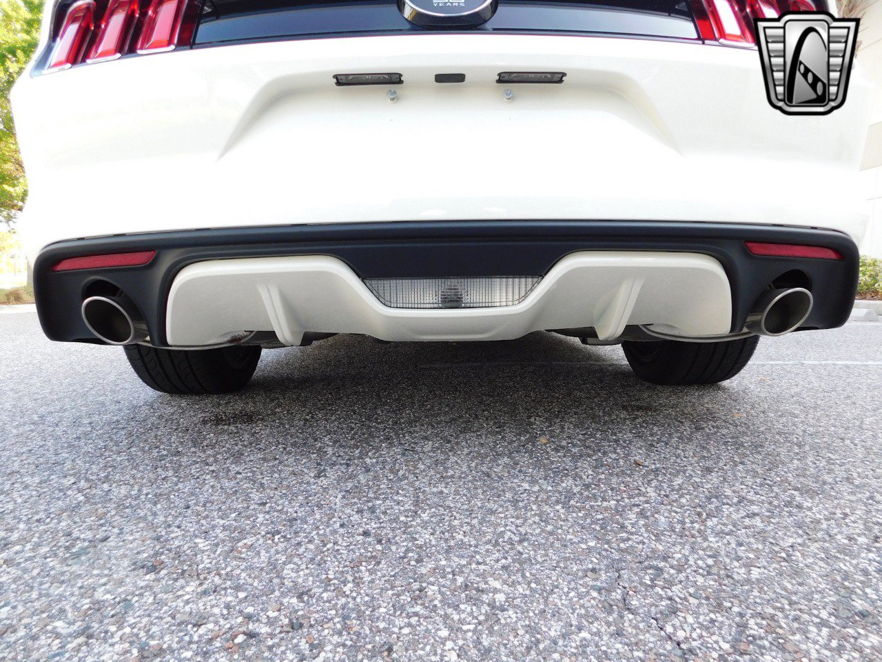 Used 2015 Ford Mustang 50 Years image 11