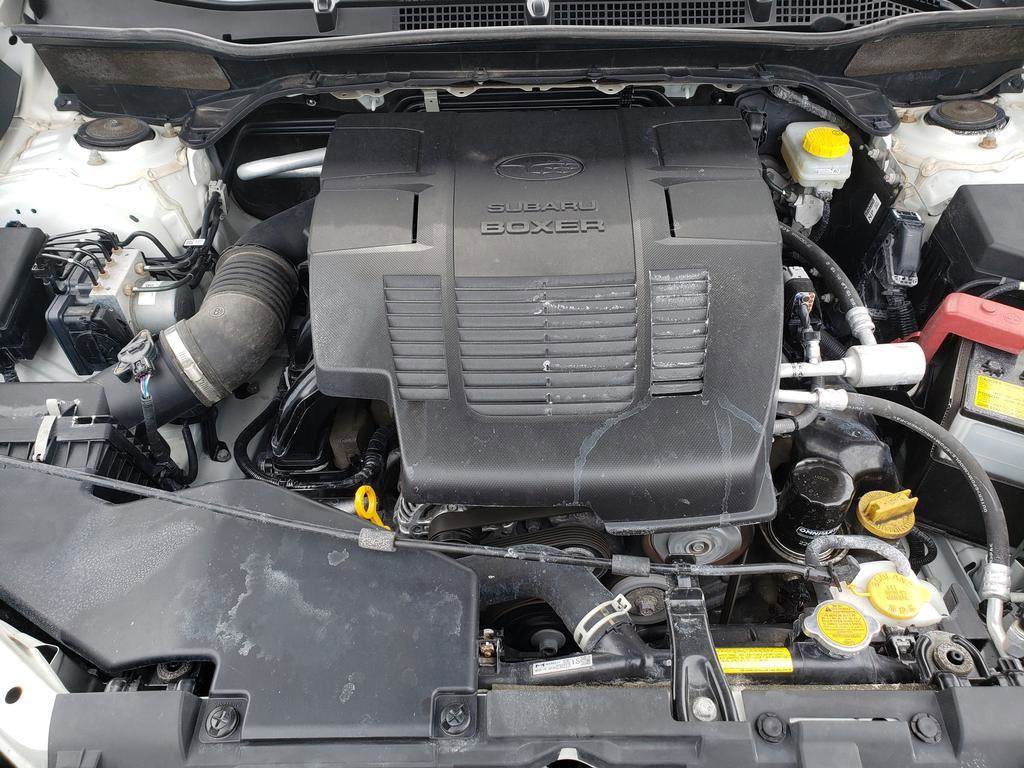 Used 2023 Subaru Forester Premium image 14