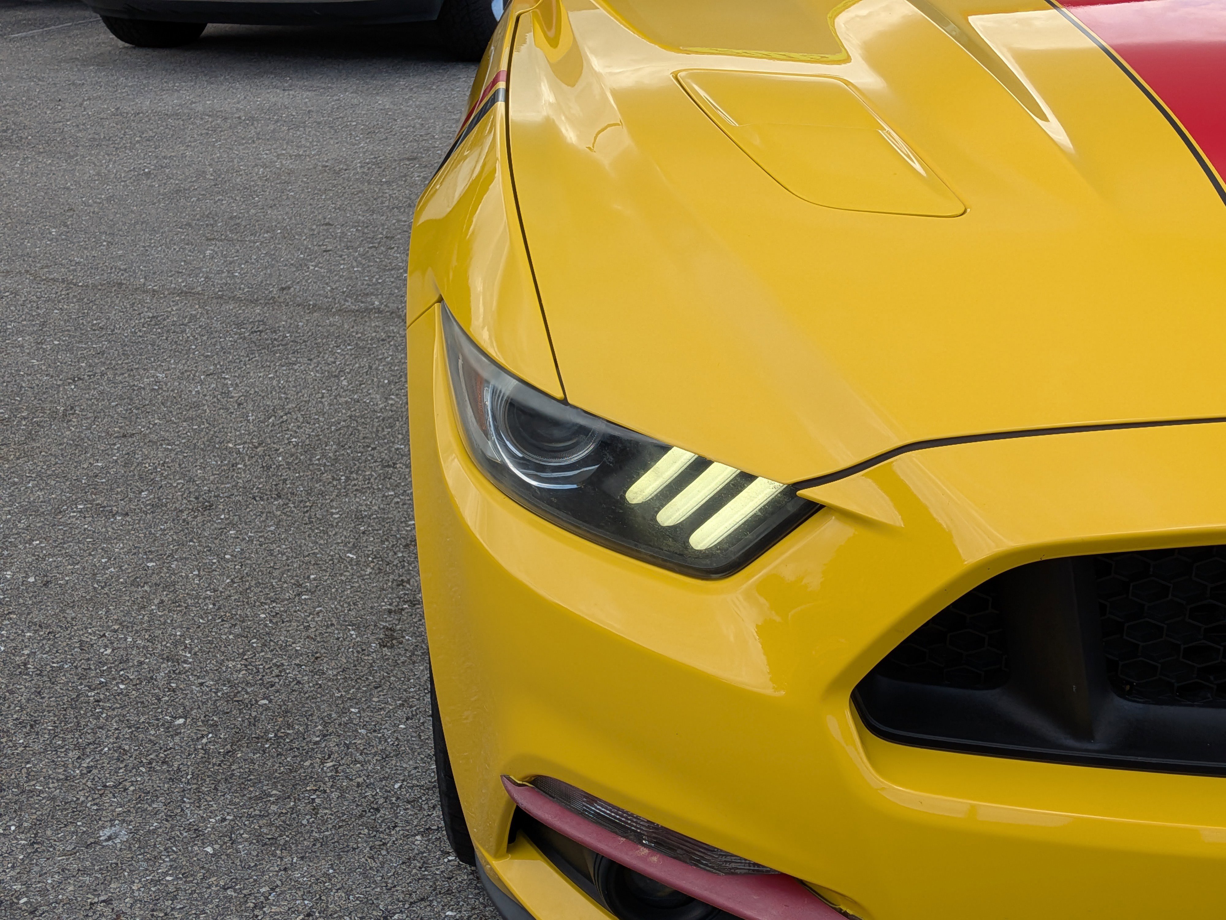 Used 2015 Ford Mustang GT Premium w/ Equipment Group 401A image 10