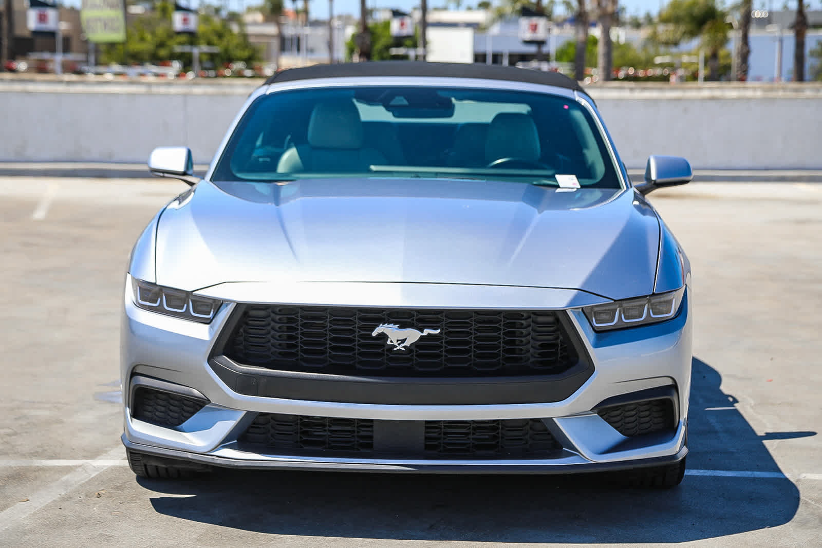 Used 2024 Ford Mustang Premium RWD image 3