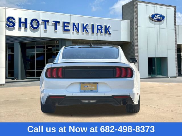 Certified 2022 Ford Mustang EcoBoost w/ Equipment Group 101A image 7