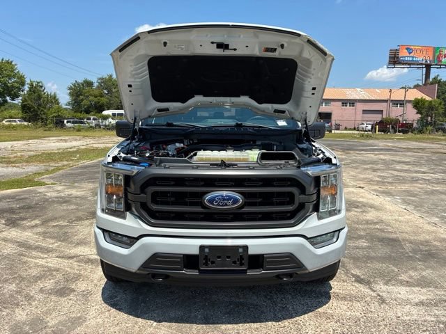 Used 2023 Ford F150 XLT w/ Equipment Group 302A High AWD/4WD image 20
