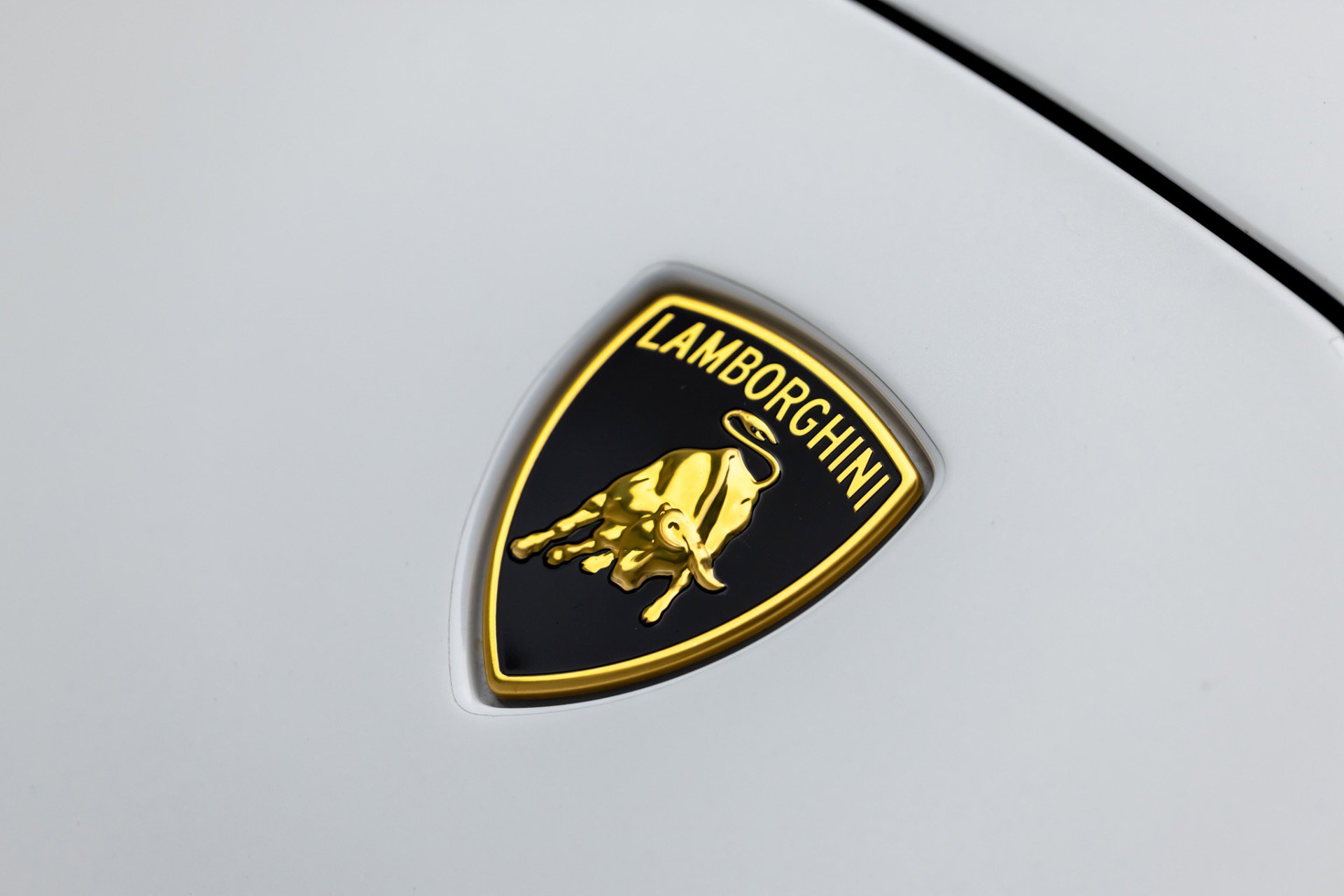 Used 2019 Lamborghini Huracan Performante image 12