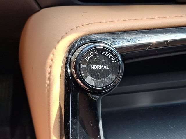 Used 2024 Lexus NX 350 AWD w/ Cold Area Package image 25