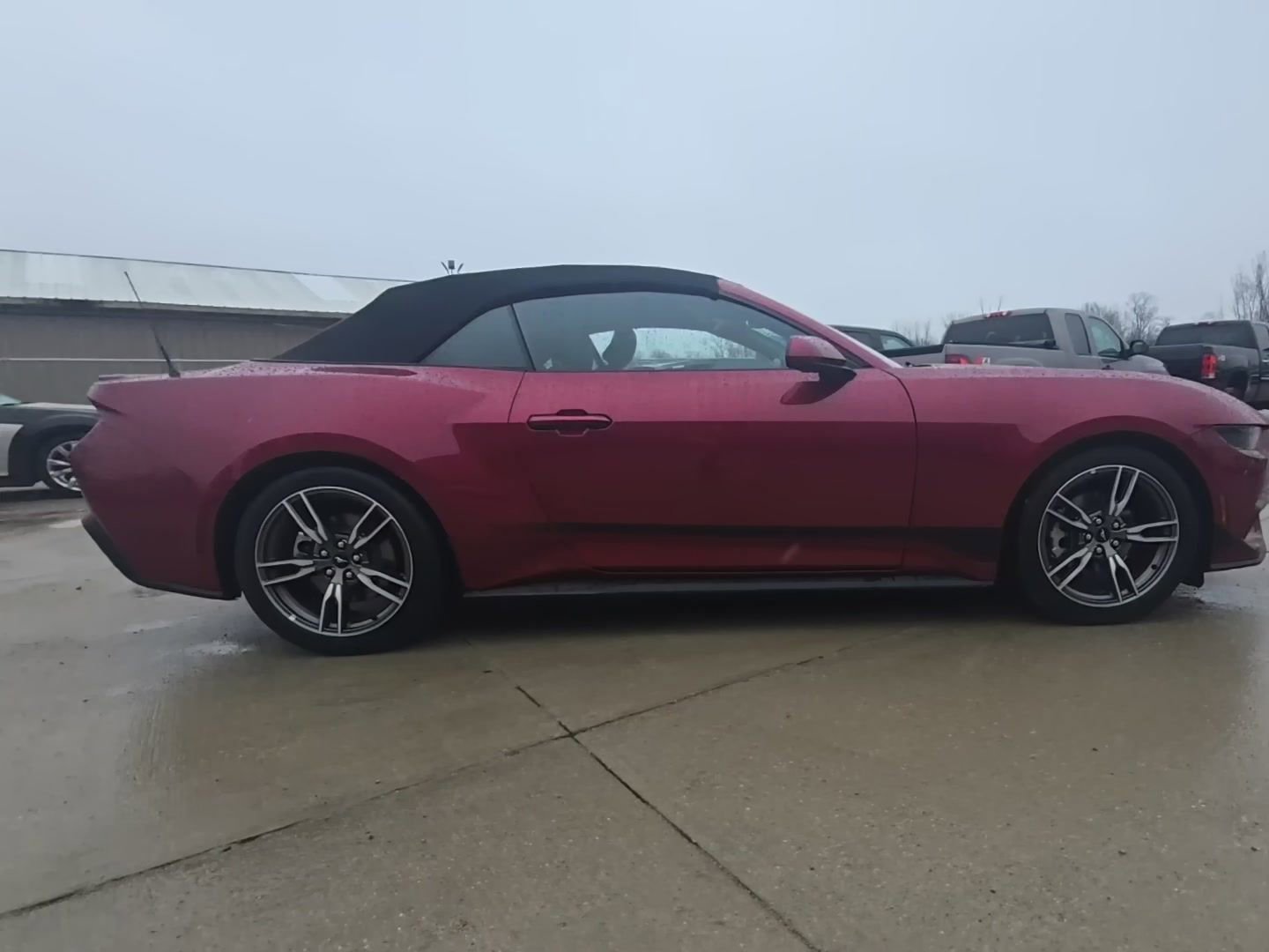 Used 2025 Ford Mustang Premium w/ Wheel & Stripe Package image 10