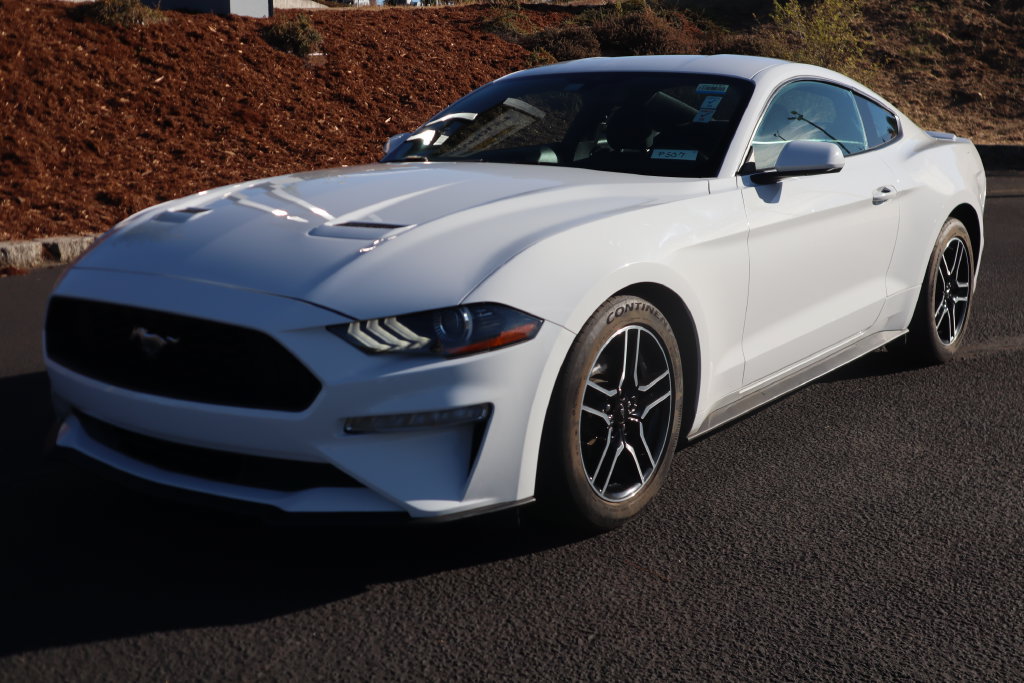 Used 2019 Ford Mustang Coupe w/ Equipment Group 101A RWD image 1