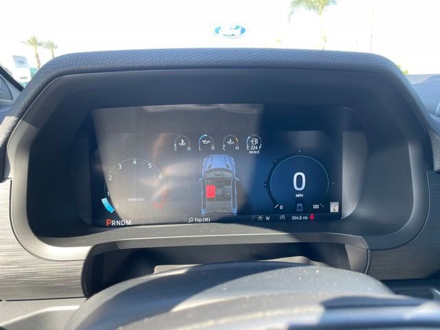 New 2026 Ford F150 XLT w/ Equipment Group 302A MID image 10