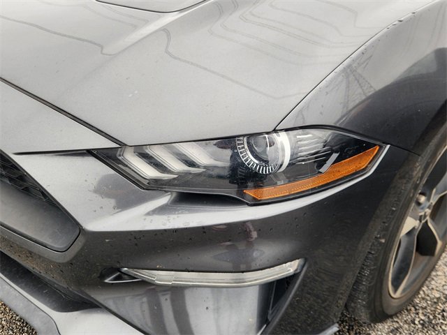 Used 2019 Ford Mustang Convertible w/ Equipment Group 101A image 6