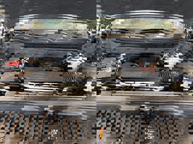 Used 2024 Chevrolet Silverado 1500 Custom Trail Boss image 22