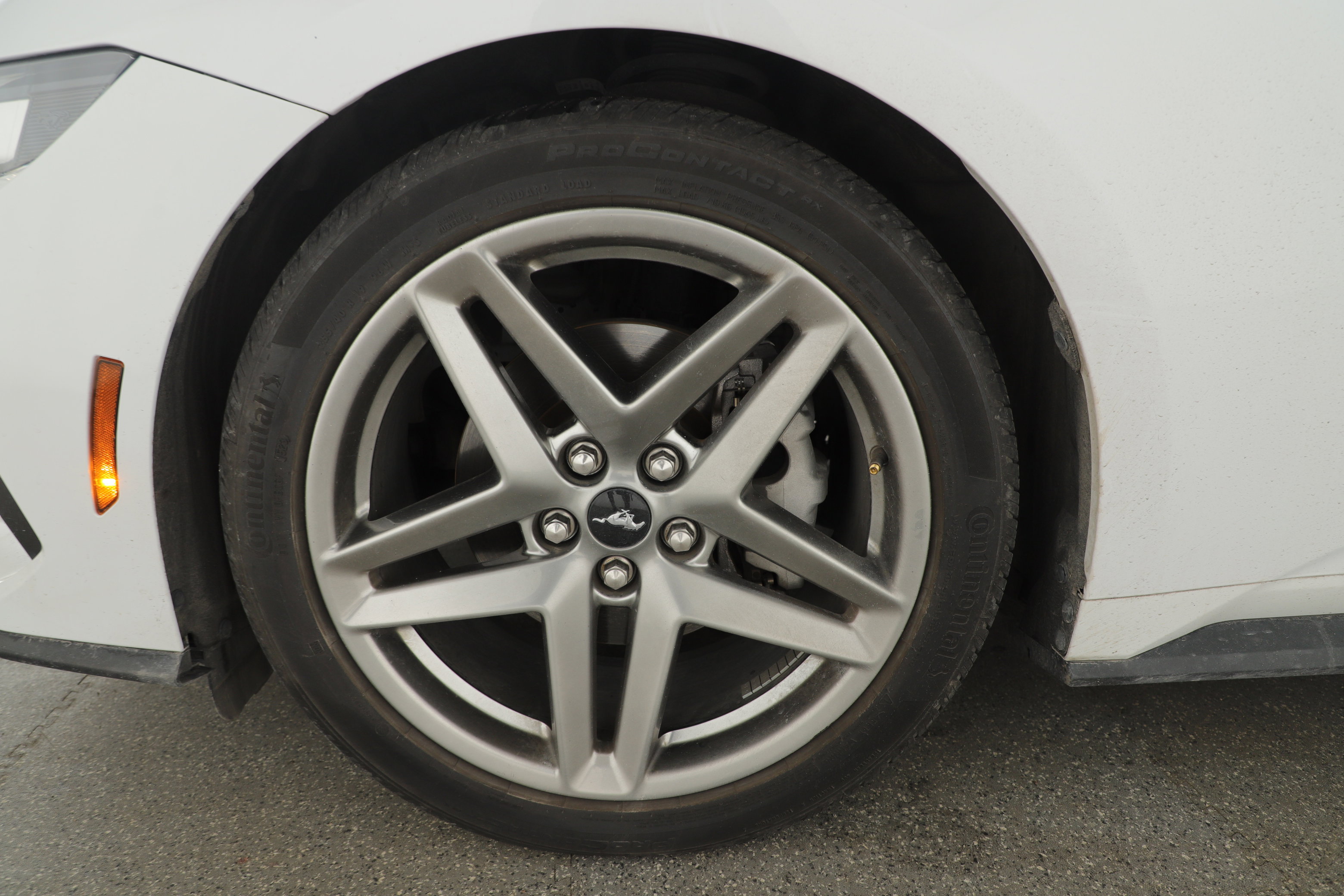 Used 2024 Ford Mustang Coupe RWD image 6