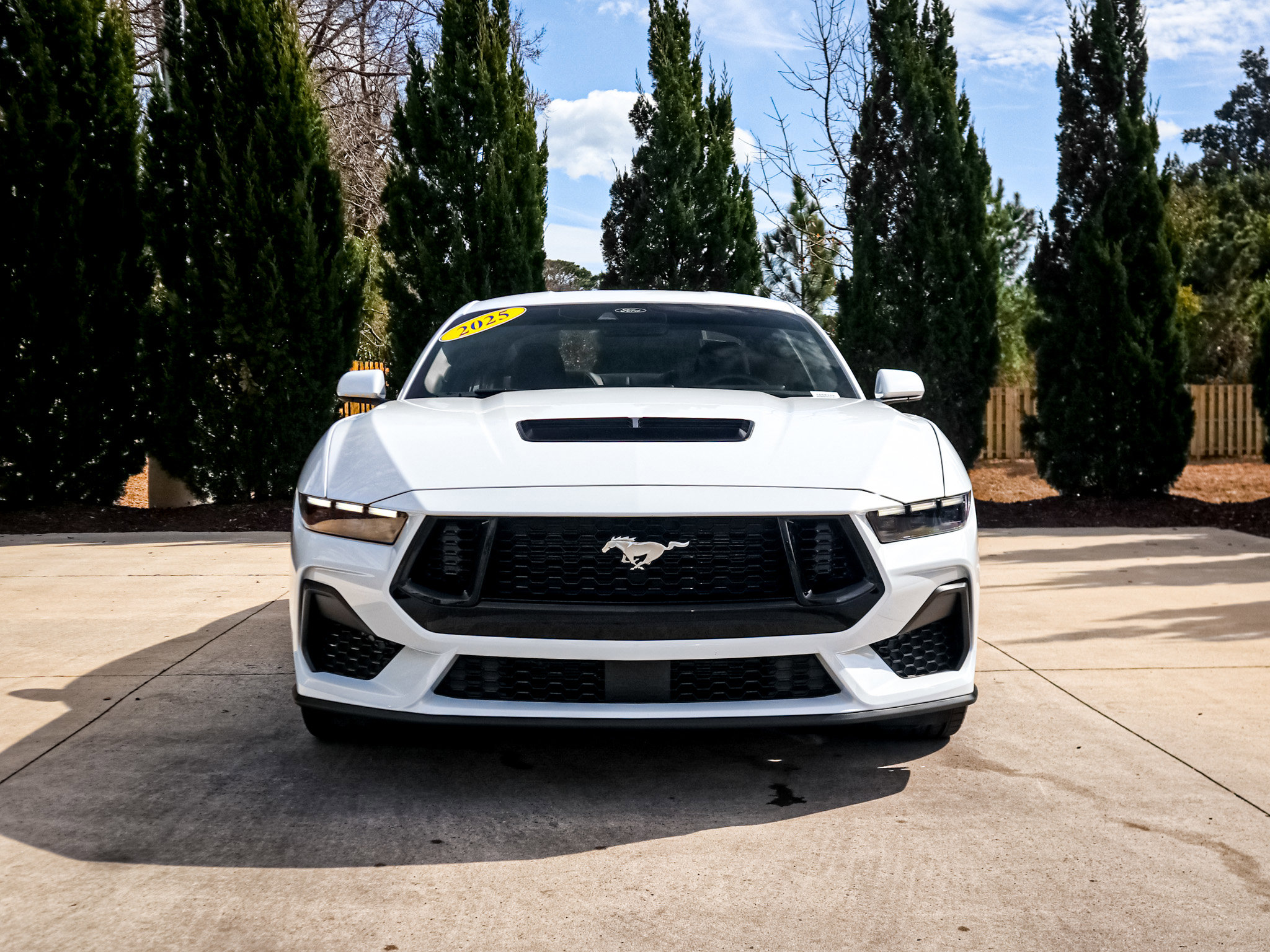 Used 2025 Ford Mustang GT image 3