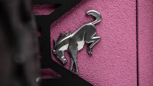 Used 2025 Ford Bronco 4-Door image 30