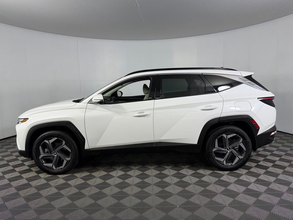 Used 2024 Hyundai Tucson Limited image 10