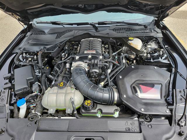 Used 2021 Ford Mustang GT Premium w/ Equipment Group 401A RWD image 30