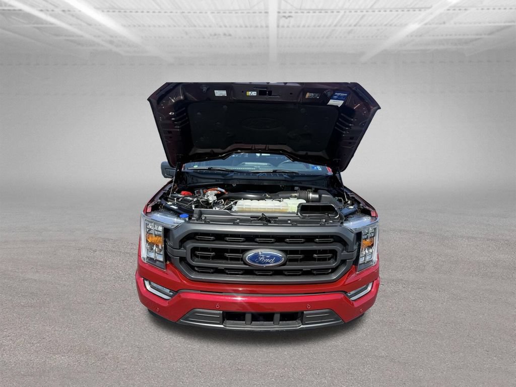 Used 2021 Ford F150 XLT w/ Equipment Group 302A High RWD image 63