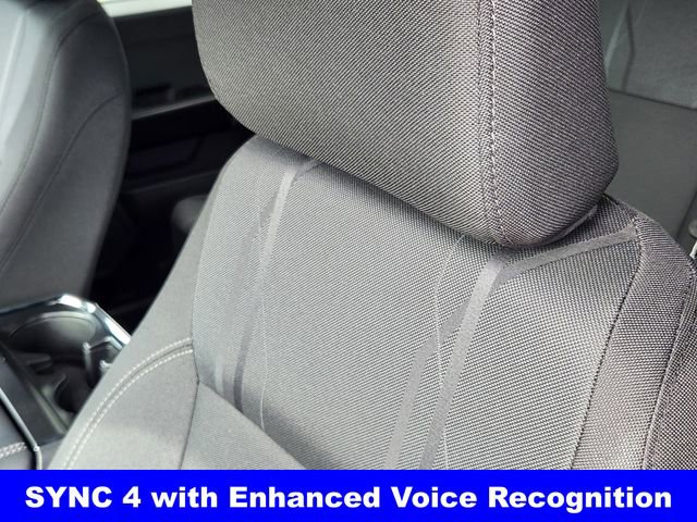 New 2026 Ford F150 STX w/ Equipment Group 200A image 15