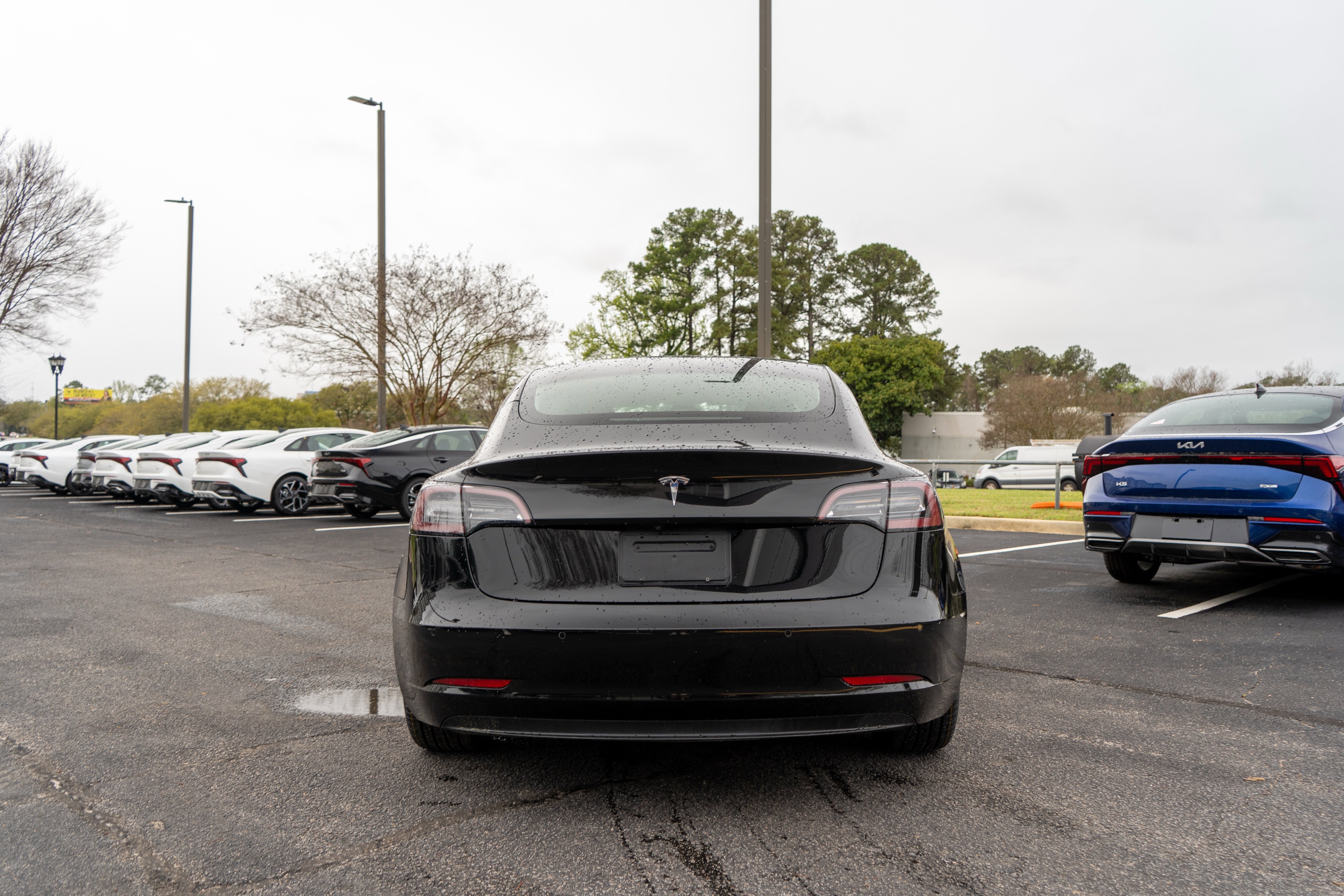 Used 2021 Tesla Model 3 Standard Range Plus image 7