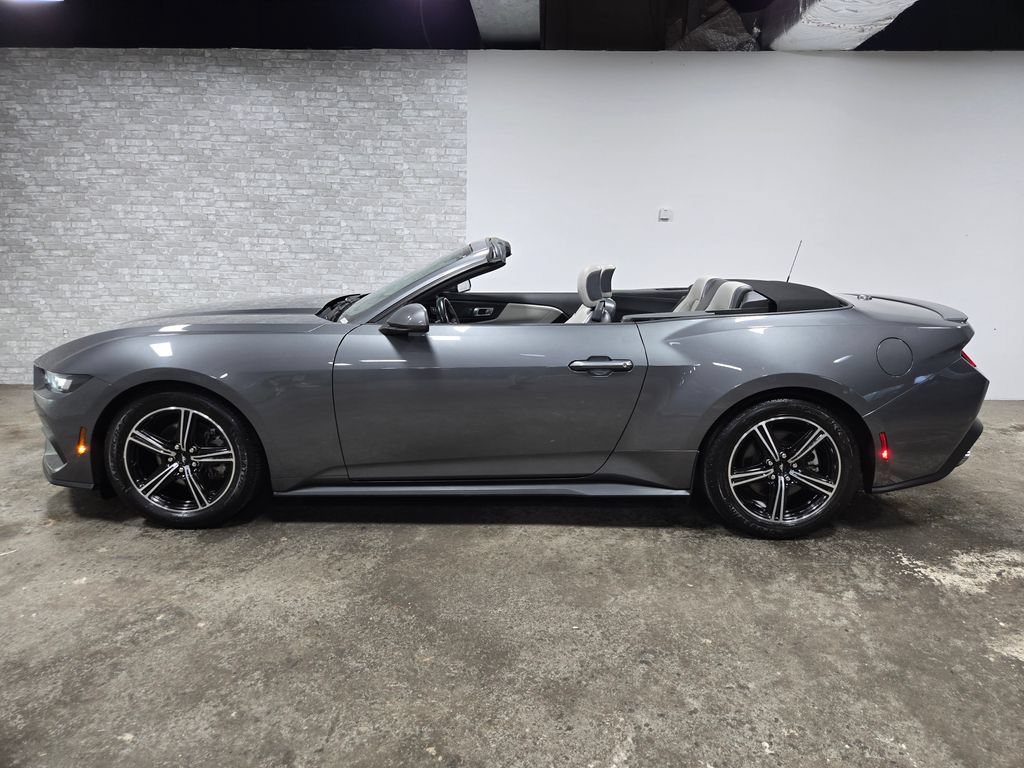 Used 2024 Ford Mustang Premium RWD image 4