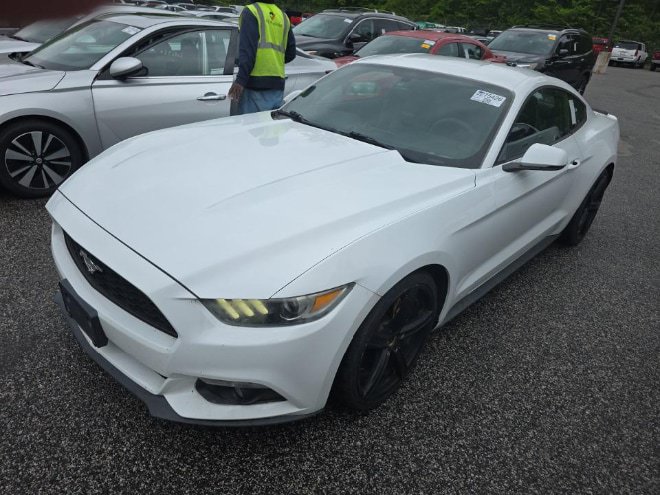 Used 2016 Ford Mustang Premium w/ Equipment Group 201A