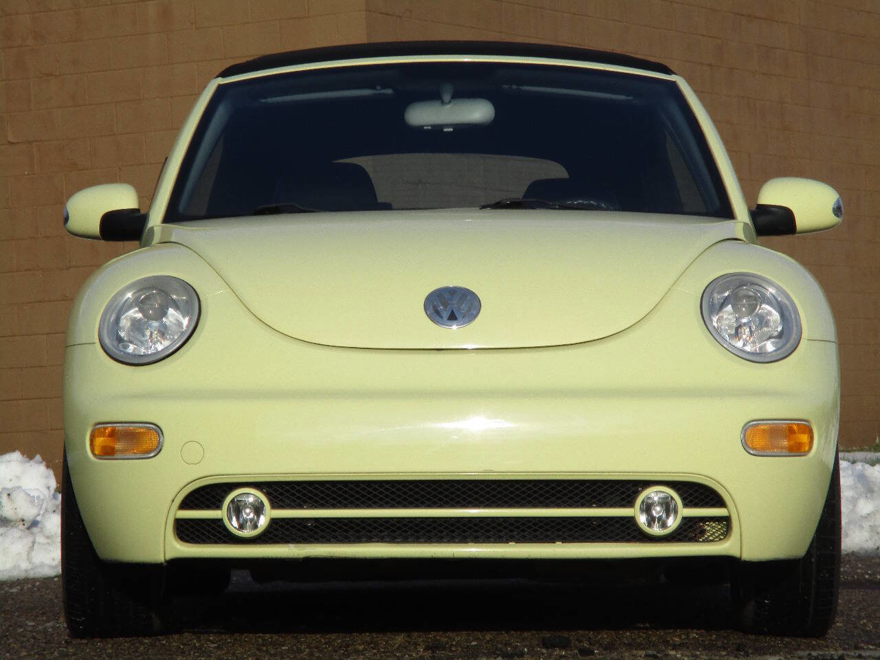 Used 2003 Volkswagen Beetle GLS image 3