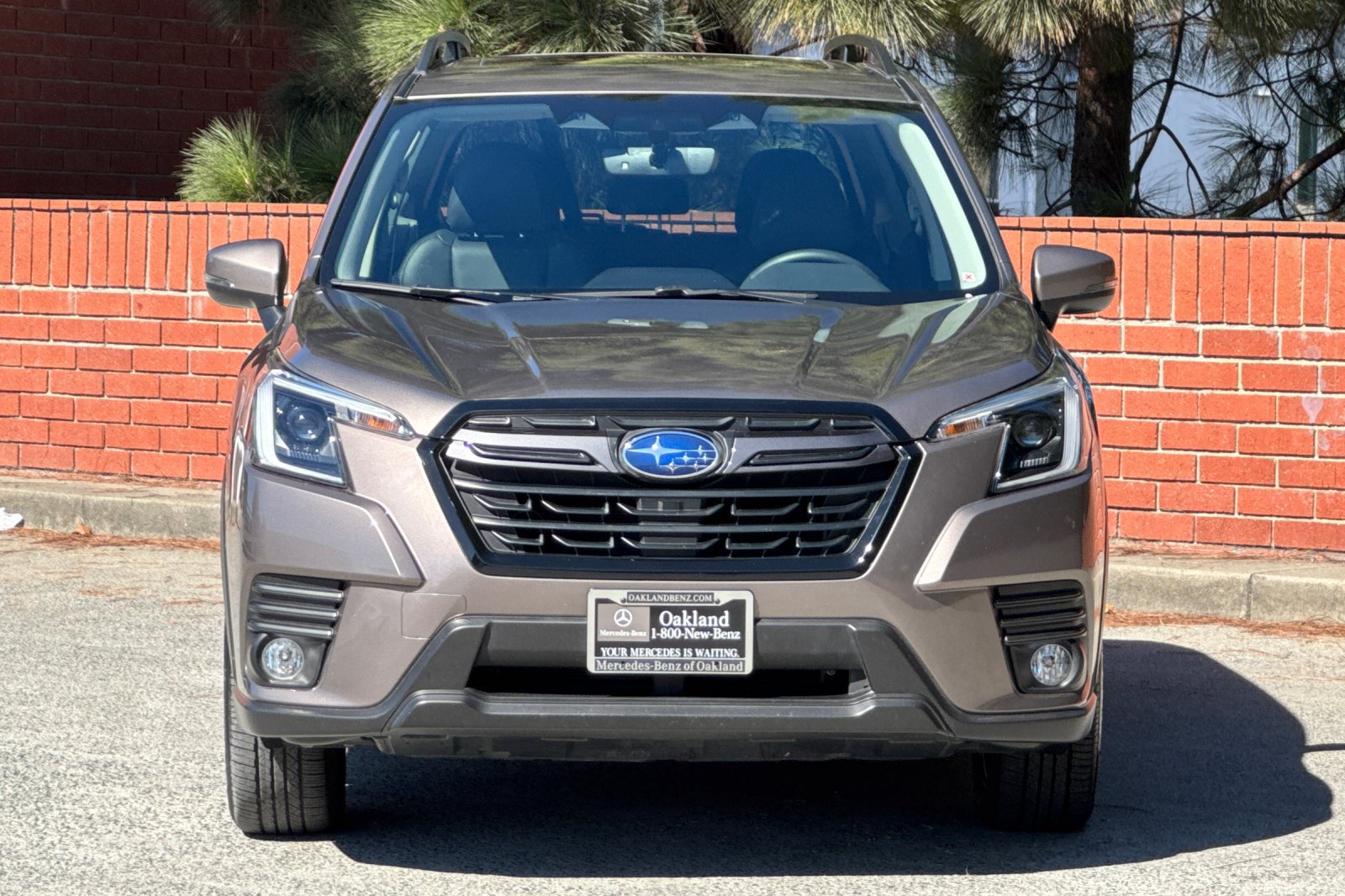 Used 2023 Subaru Forester Limited w/ Popular Package #2 AWD/4WD image 9