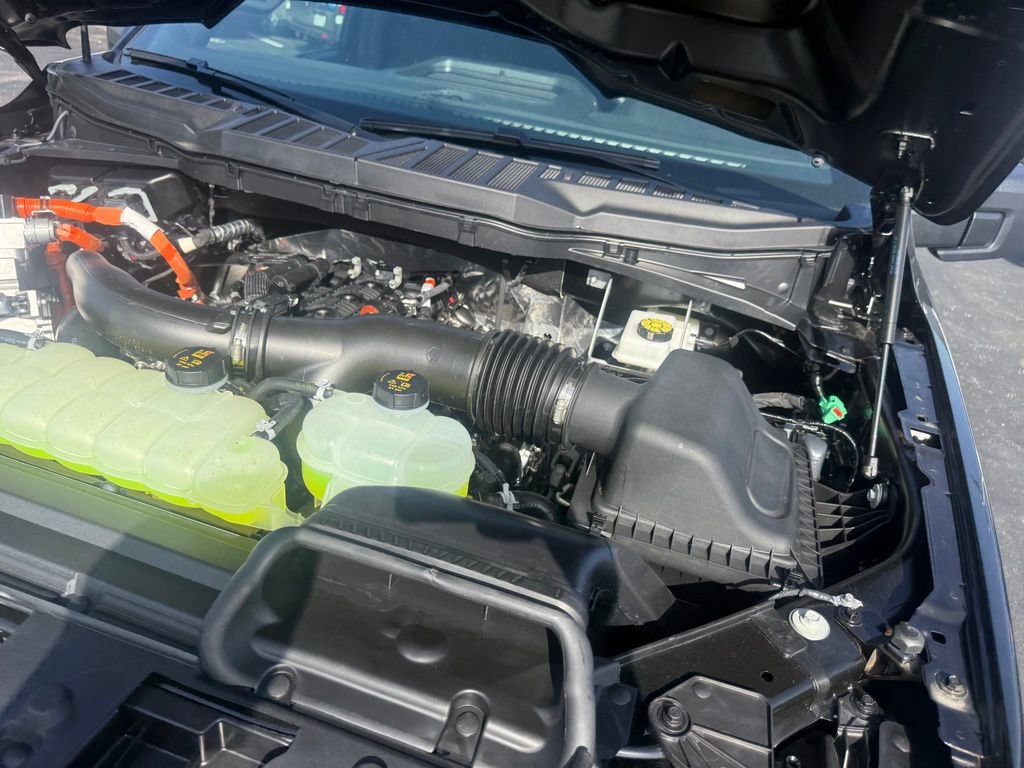 New 2026 Ford F150 STX w/ Equipment Group 200A AWD/4WD image 64