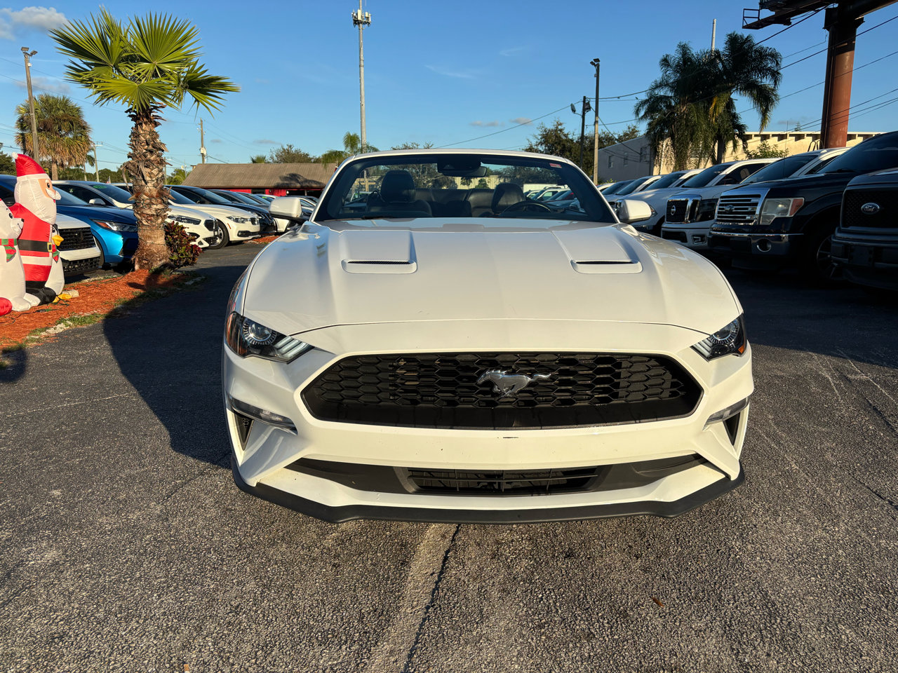 Used 2023 Ford Mustang Premium image 2