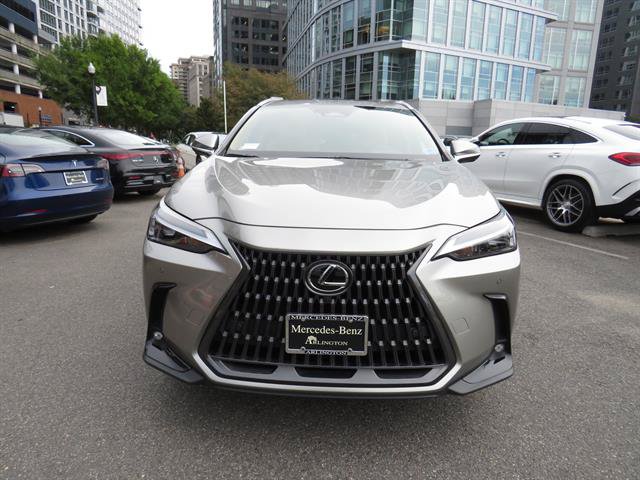 Used 2025 Lexus NX 350 AWD w/ Cold Area Package image 6