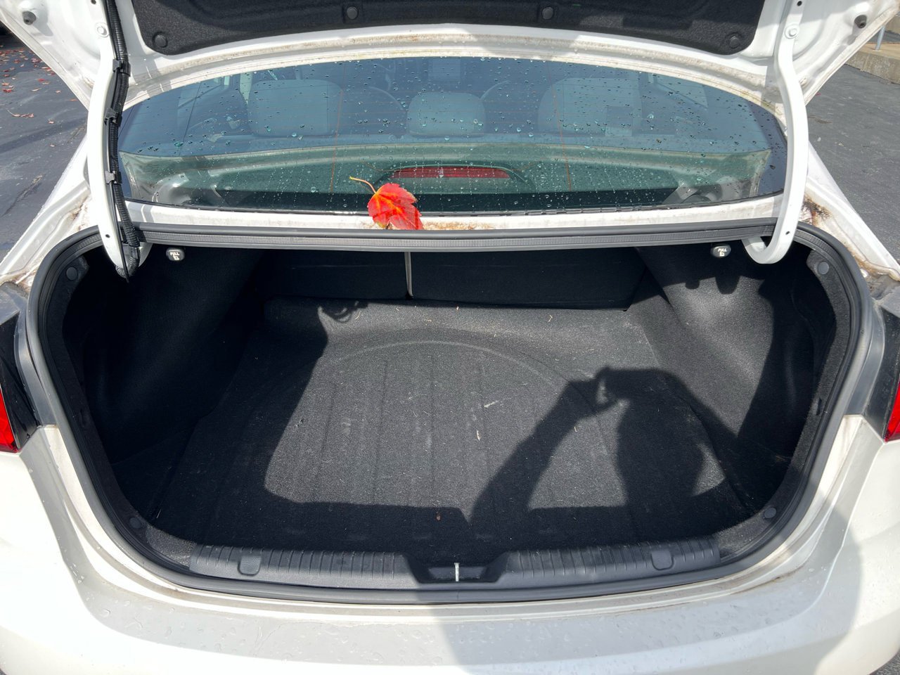 Used 2016 Kia Forte EX w/ EX Premium Package image 13