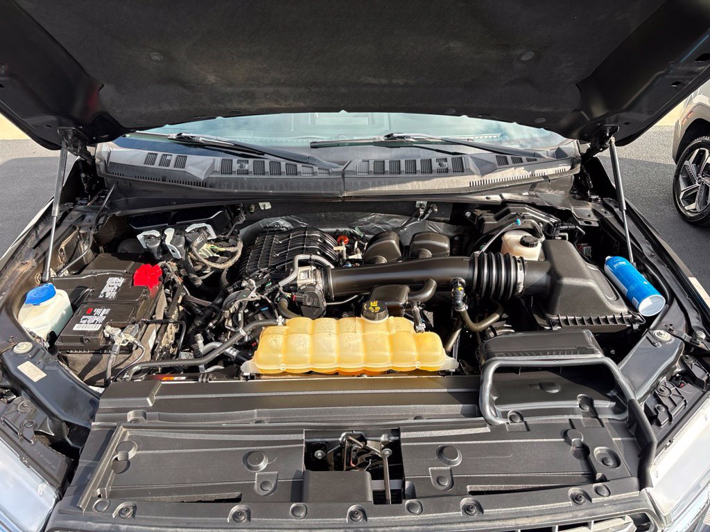 Used 2019 Ford F150 XLT w/ Equipment Group 302A Luxury AWD/4WD image 25