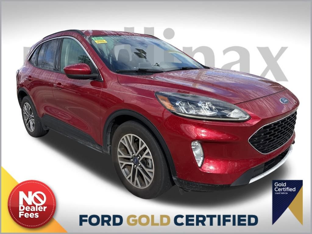 Used 2020 Ford Escape SEL