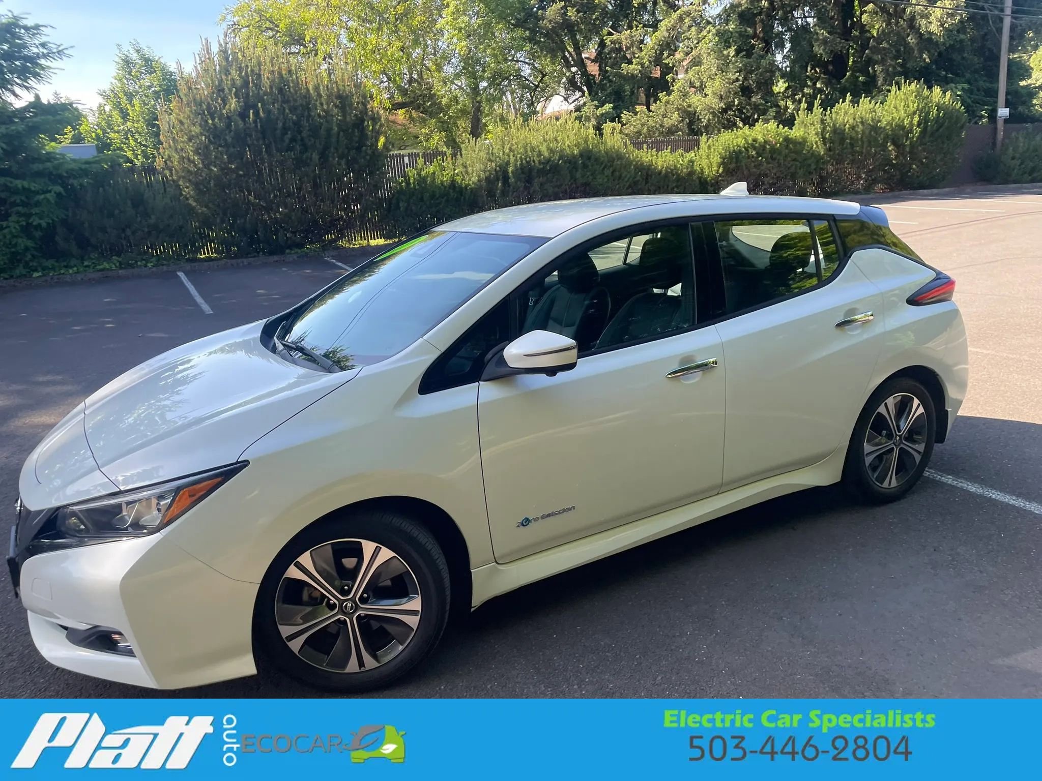 Used 2019 Nissan Leaf SL w/ SL Technology Package FWD image 3