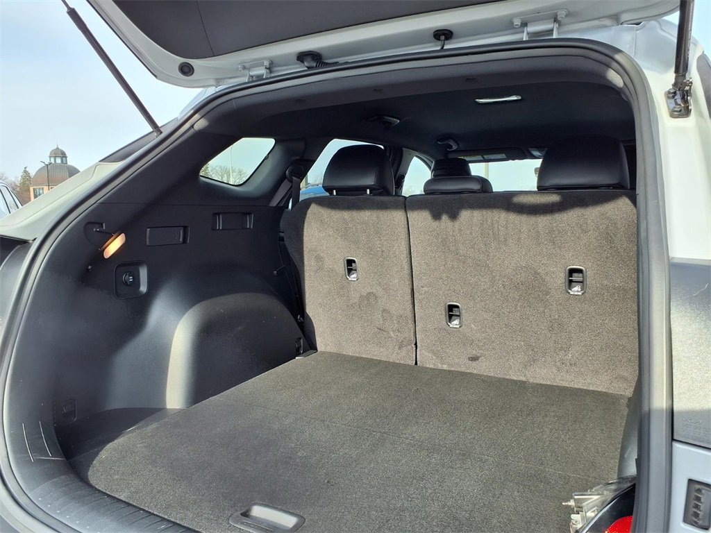 Used 2024 Kia Sportage X-Line image 19