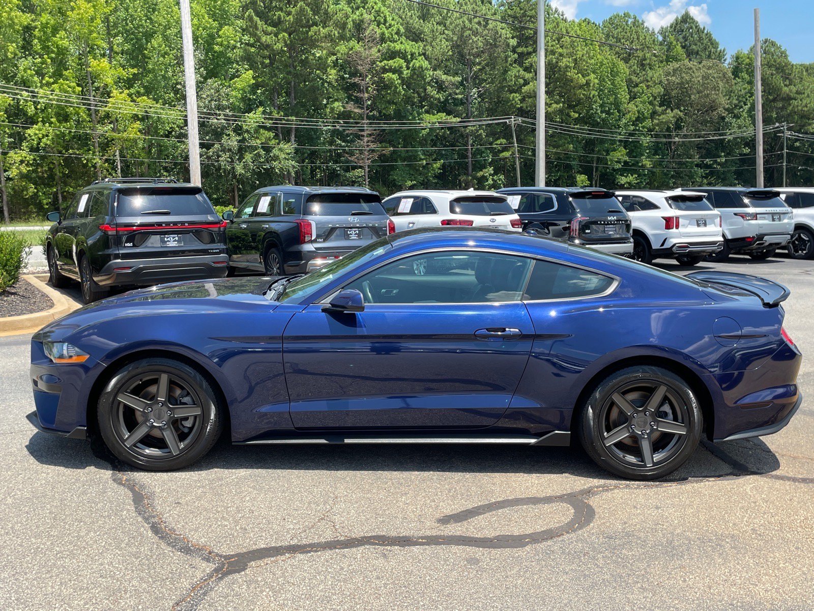 Used 2019 Ford Mustang Premium w/ Equipment Group 201A RWD image 6