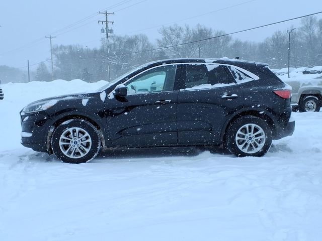 Used 2020 Ford Escape SE image 4