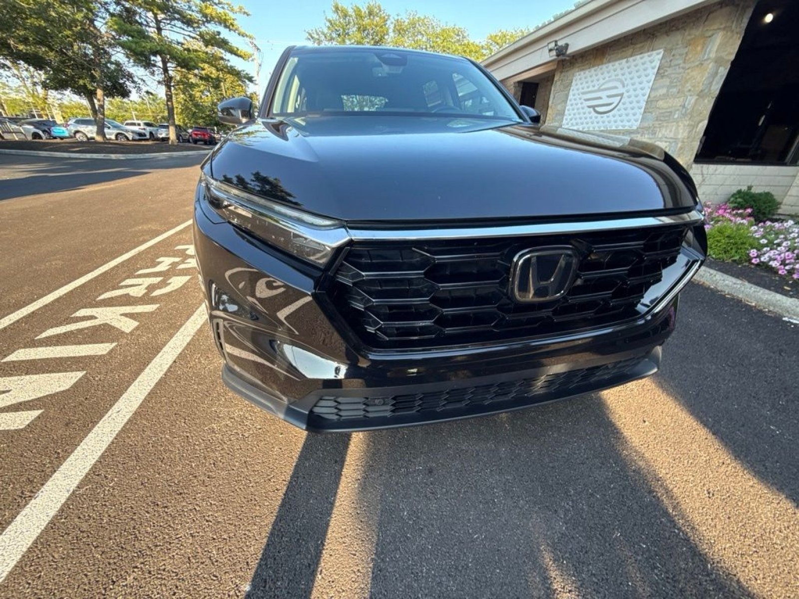 Used 2023 Honda CR-V EX-L image 5