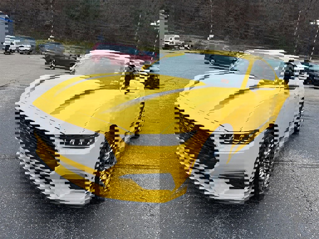 Used 2024 Ford Mustang EcoBoost image 10